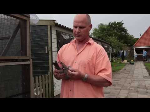 Nationale Winnaars ZLU Pau  2016