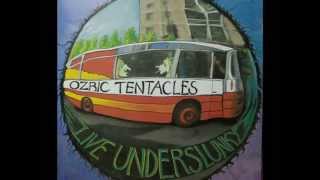 Ozric Tentacles - OI - Live in concert