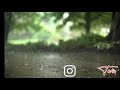 Rain Lover Rain Drop ️ Rain Rainy Season WhatsApp Status