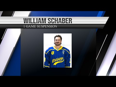 DC 032 EL 151 54 33 - William Schaber