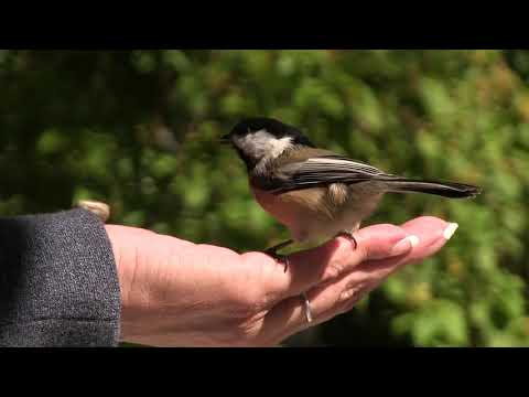 Aron Wright - Build It Better