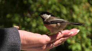 Aron Wright - Build It Better