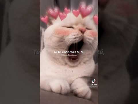 TUTU - ALMA ZARZA (Cover)