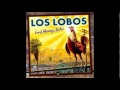 Los Lobos - Tony and Maria  ( OMR )