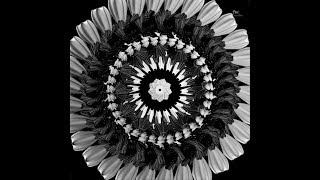 IMLAY SHURAI EP Preview 1 - 'Daylight'