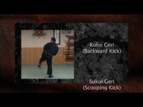 Ninja Training: Kicking - Keri Demonstration, 8th Kyu, Ninjutsu, Bujinkan