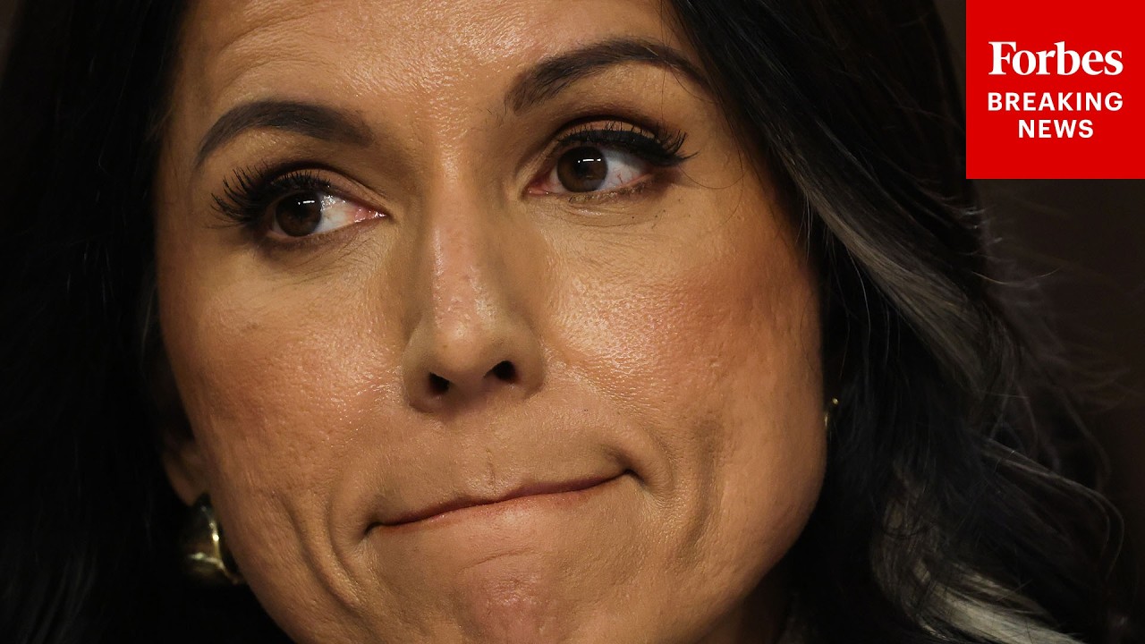 Video | Tulsi Gabbard Asked If She Briefed Trump About Iran's Actions On Strait Of Hormuz