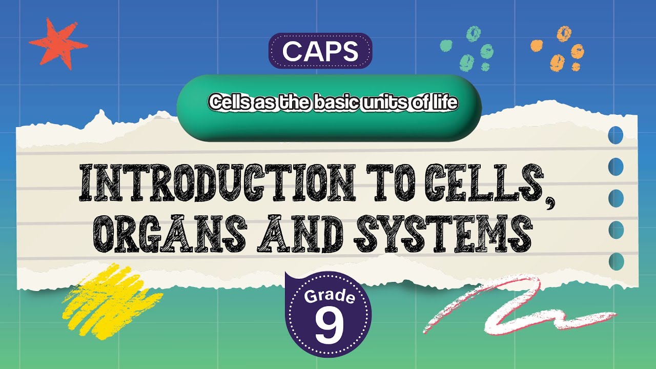 [GRADE 9] Introduction to cells, organs and systems
