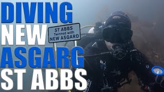 Scuba Diving NEW ASGARD (St Abbs) in SCOTLAND - Scottish Scuba Diving