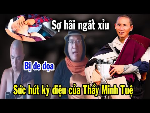 Sư Thiện Chí bị dọa trở về VN dẫn đến ngất xỉu, sức hút kỳ lạ từ Thầy Minh Tuệ ở Ấn Độ