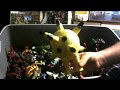 Ultraman Figures