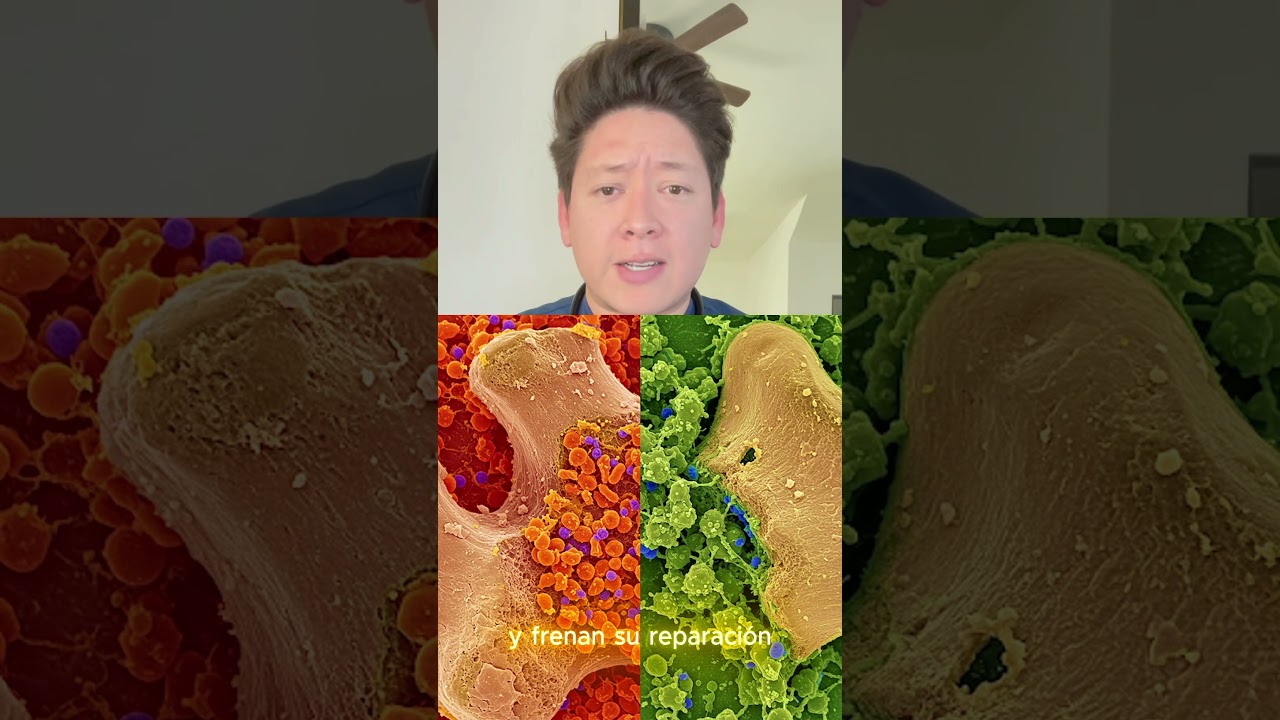 Felipe Lobato Ferreyra-1