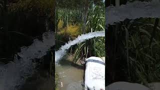  Residential Plot for Sale in Jansath, Muzaffarnagar