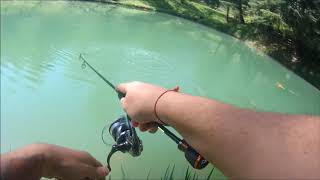Daiwa presso ags