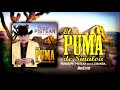 El Puma De Sinaloa (Puras para Pistear con la Banda) 2021