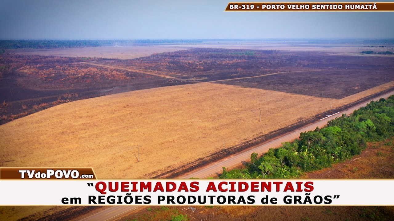 Queimadas em regiões produtoras de grãos mostram impacto em áreas agrícolas