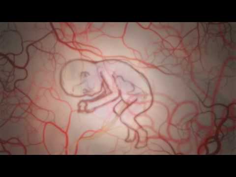 Che fare i pacchi di faccia inumidenti di Microcorrenti per ringiovanimento di faccia