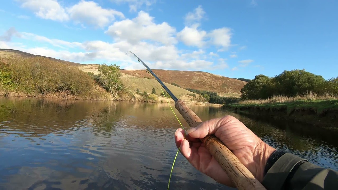 Salmon fishingon the river Tweed at Cardrona 22nd October 2021