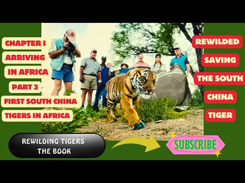 Rewilded Chapter 1 Part 3 | Diary by Li Quan - Tiger Woods and Madonna’s Adventures
