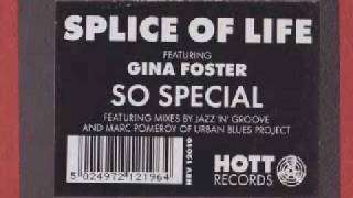 Splice Of Life feat. Gina Foster - So Special (Jazz 'N' Groove Dub)