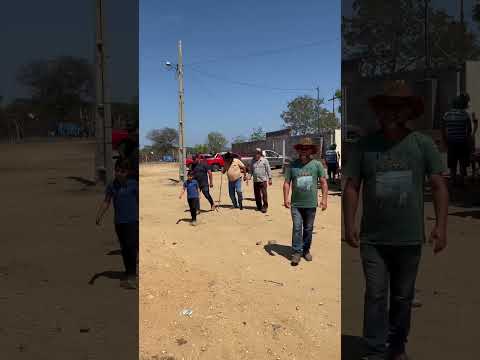 Mostrando a feira do gado na cidade de Coremas PB