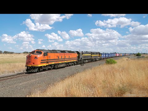7922V SCT / SBR Dooen Container Train With CLF2 X31 C501 (17/3/2024) - PoathTV Railways