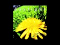 Daylight - Selfish 