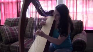 What Makes You Beautiful harp cover