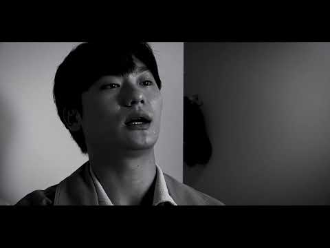 비디오 6