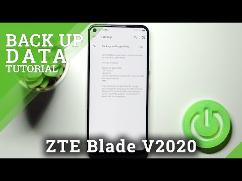 How to Enable Google Backup on ZTE Blade V2020 – Add Backup Account