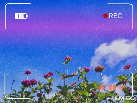 Remember Me (From the movie Coco) Cover