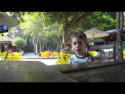 Criança de 5 anos canta Menino da porteira Pedro Motta Popoff