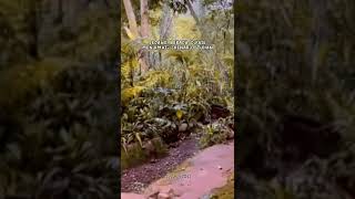Download lagu mensyukuri hidup mp3 Download lagu mensyukuri hidup mp3