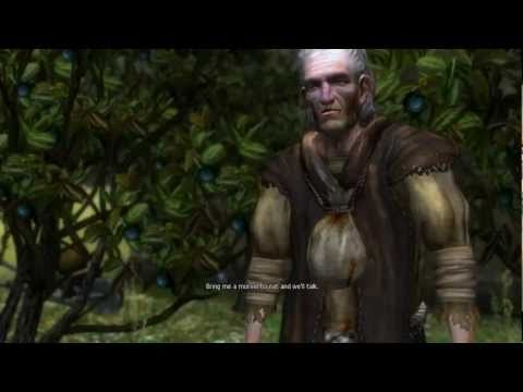 12. Let's Play The Witcher: Enhanced Edition [BLIND] - Vizima Temple Quarter