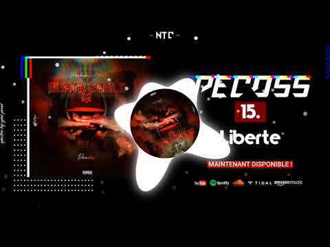 (15).PECOSS - LIBERTÉ (BLACK EAGLE 2ème PARTIE)