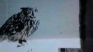 Crack The Sky -- Nuclear Apathy