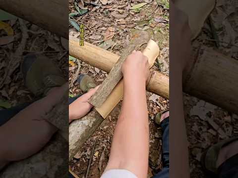 Modren Farming #shorts #agriculture #farming2024 #youngfarmers #EliteShortsUnleashed #2324