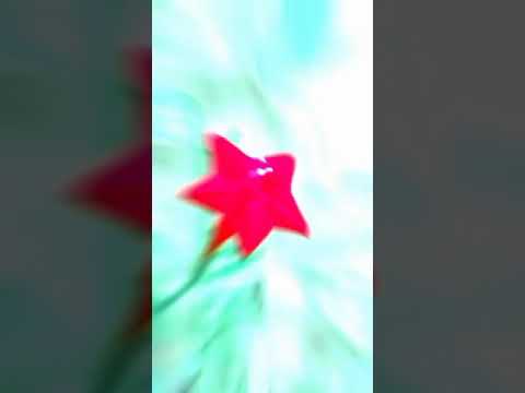 before after moody!! instagram trends !! status video #reels #photography #instagram #gns