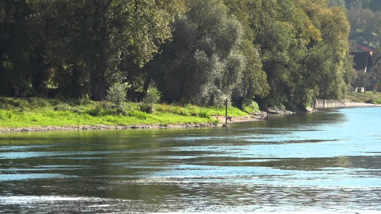 Видеокамера Sony PXW-X70