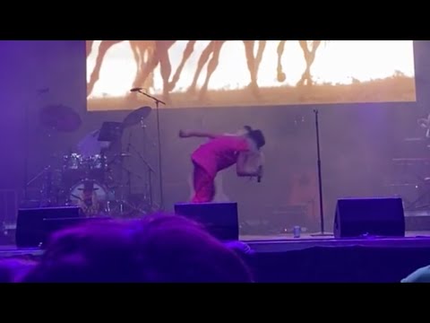 Country Oliver Tree gets embarrassed during lollapalooza 2021 performance and runs off stage