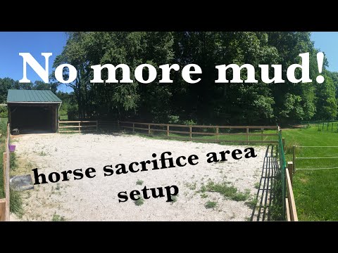 YouTube video about: How to make a dry lot for horses?