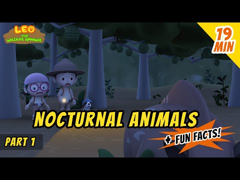 Witness21 Editor  2020 03 13