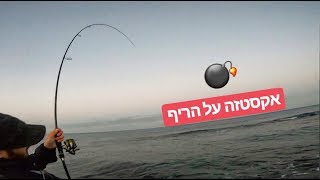 אקסטזה על הריף - סרטוני דיג בישראל | Ecstasy on the Reef - Fishing Videos
