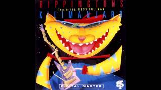 THE RIPPINGTONS - Northern Lights