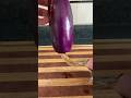 Why It S Called Eggplant Eggplant Egg Biology