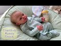 Reborn video | reborn meadow morning routine | reborn role play