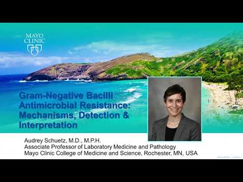 Gram-Negative Bacilli Antimicrobial Resistance by Audrey N. Schuetz, MD | Preview