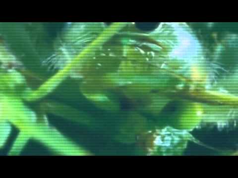 ßɛʑɛ† ✖ kaem_kot - arachnofobia #NOISEBOYZ [コスモス]  (prod. SHYBOY 360)