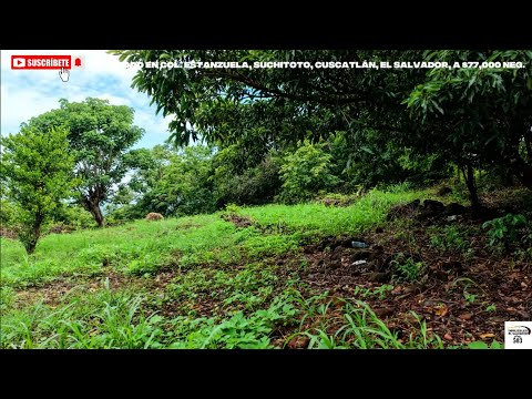 5 manzanas en venta en canton estanzuela suchitoto departamento de cuscatlan 