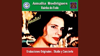 As rosas do meu caminho